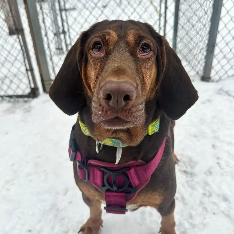 Francium thumbnail 4