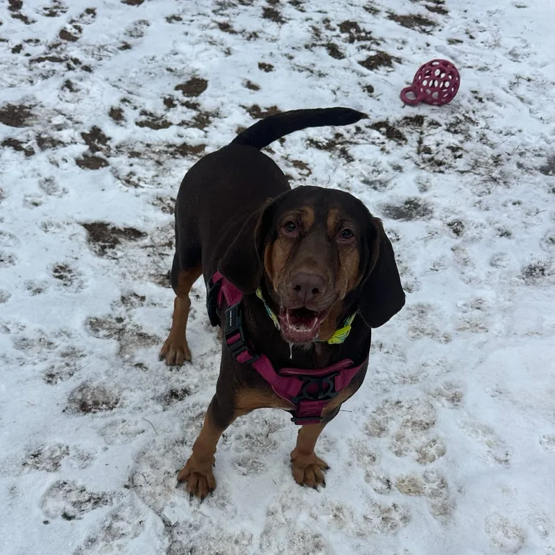 Francium thumbnail 5