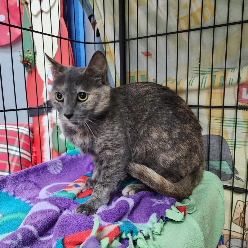 Cider City Of Industry