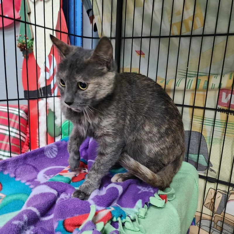 Cider City Of Industry thumbnail 2