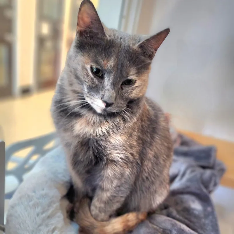 Cider City Of Industry thumbnail 4