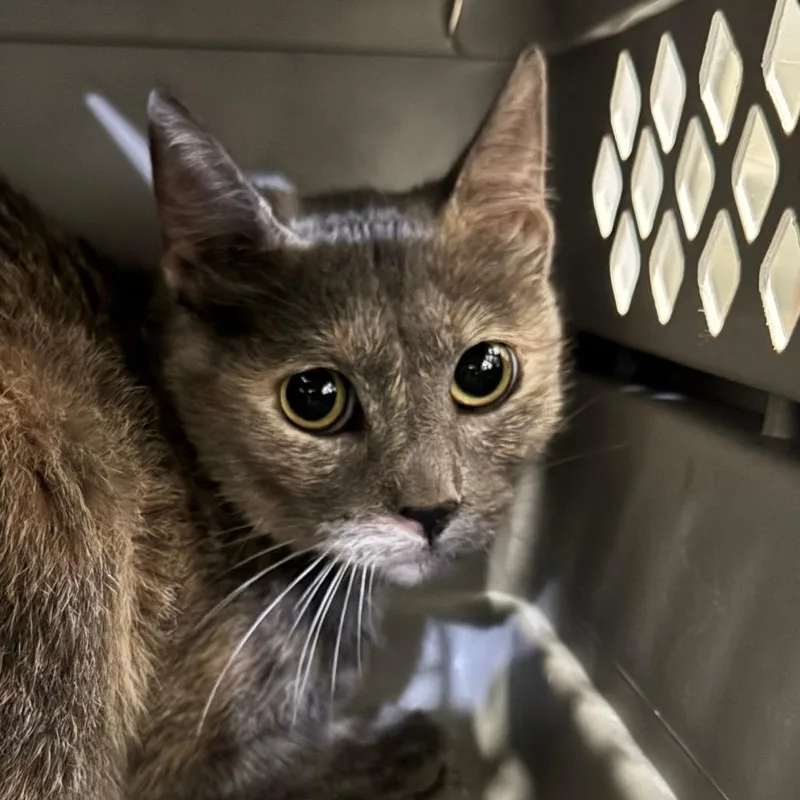 Cider City Of Industry thumbnail 5