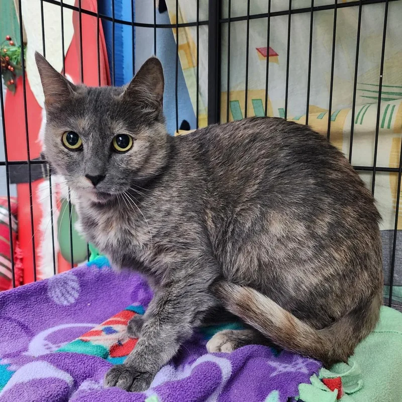 Cider City Of Industry thumbnail 6