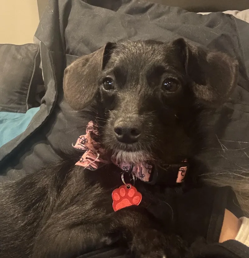 Petra  Polywalk thumbnail 3