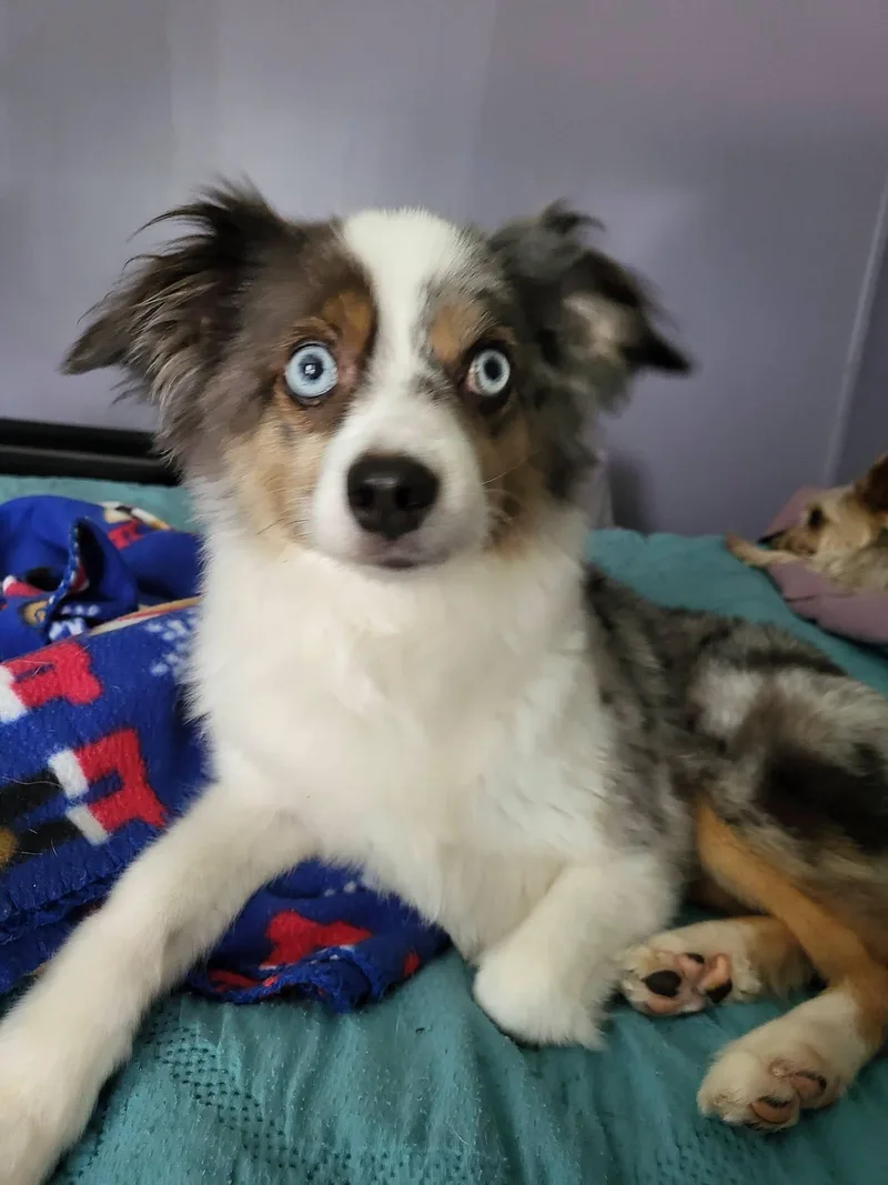 Charlie & Sadie thumbnail 2