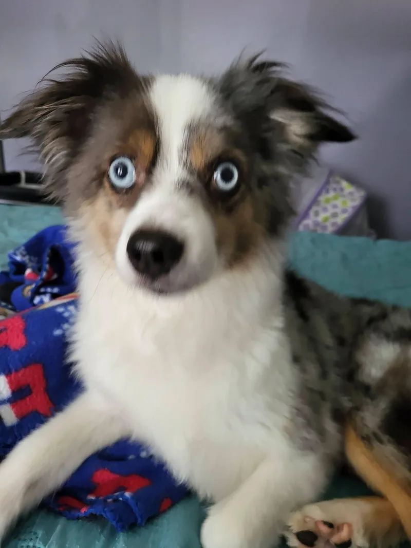 Charlie & Sadie thumbnail 3