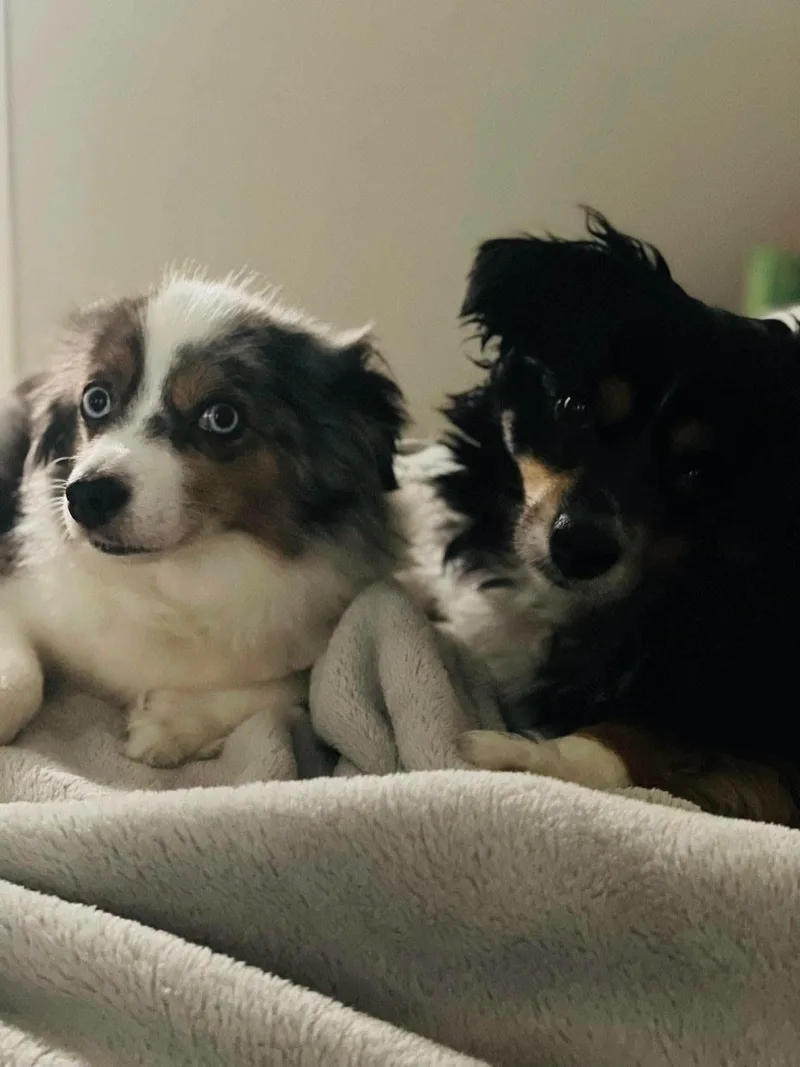 Charlie & Sadie thumbnail 4