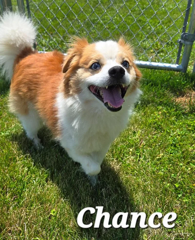 Chance Yrly thumbnail 3