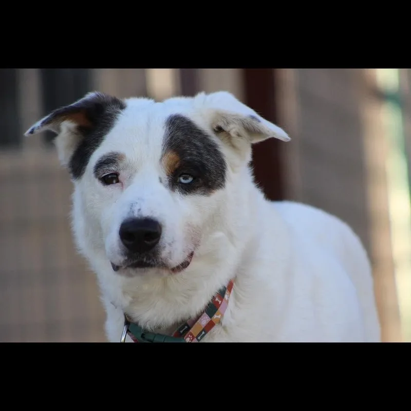 Casey thumbnail 3