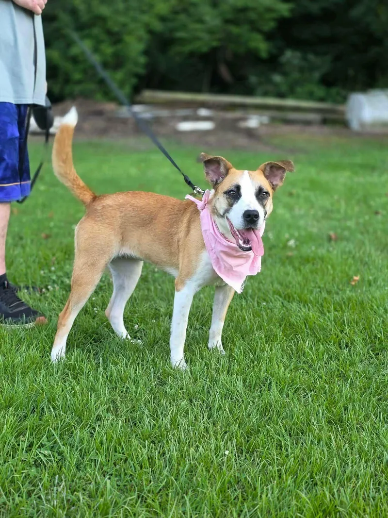 Maggie