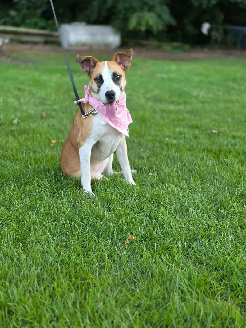 Maggie thumbnail 2