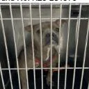 Mamacita thumbnail 2