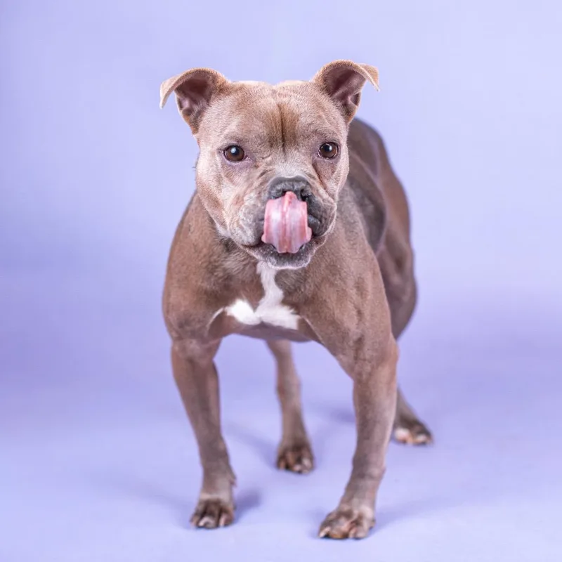 Mamacita thumbnail 3