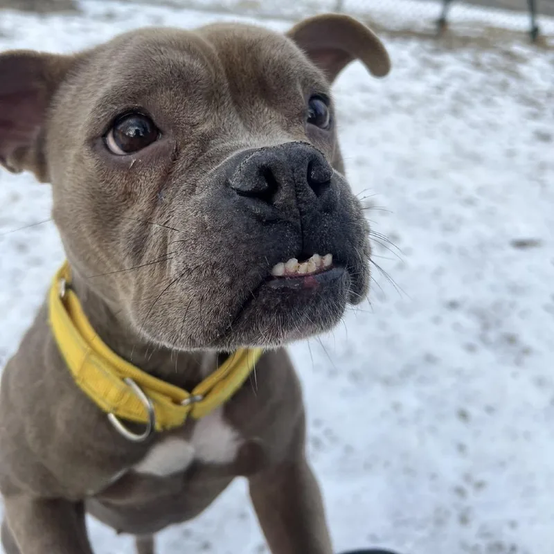 Mamacita thumbnail 4