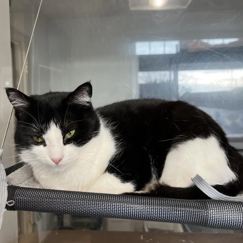 Gabriella thumbnail 2