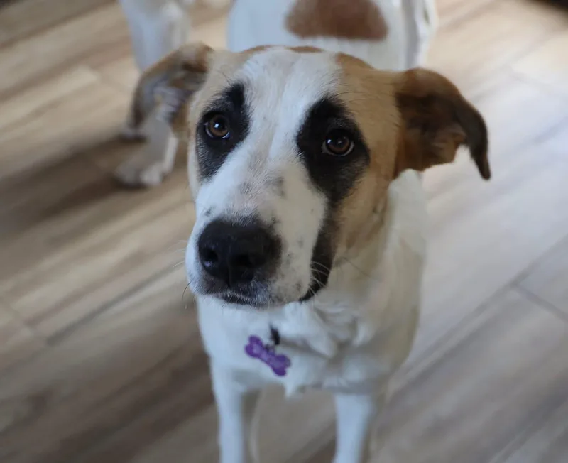 May Belle thumbnail 4