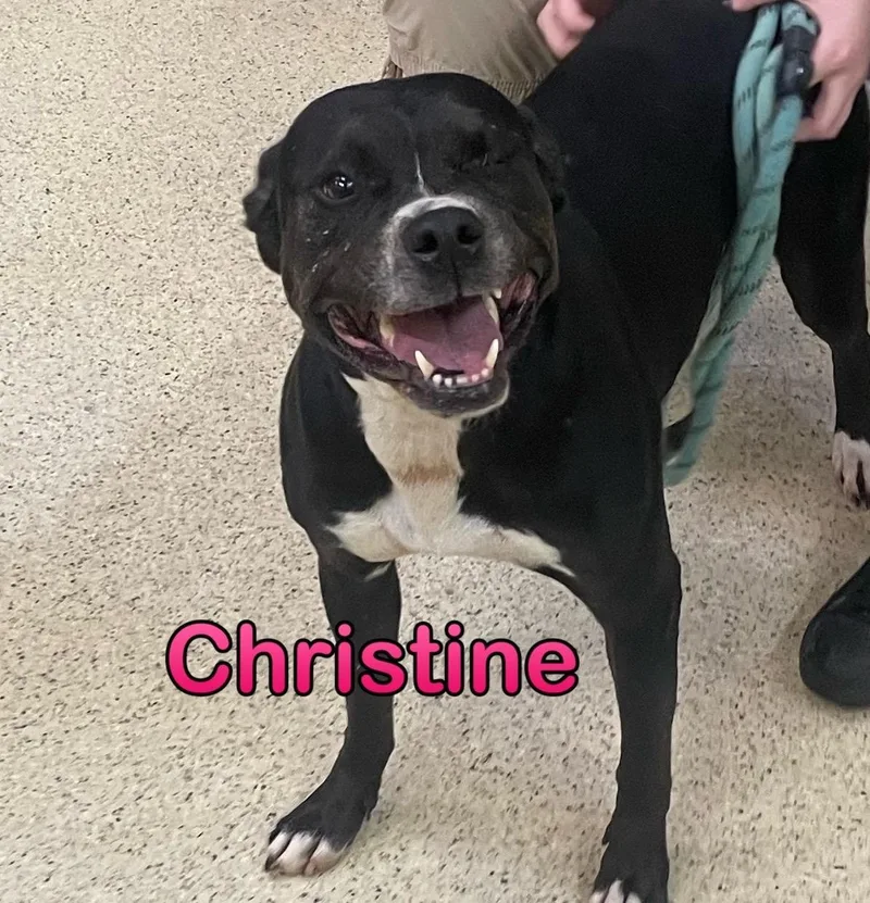 Christine thumbnail 3
