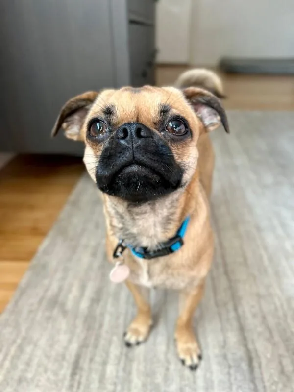 Winnie