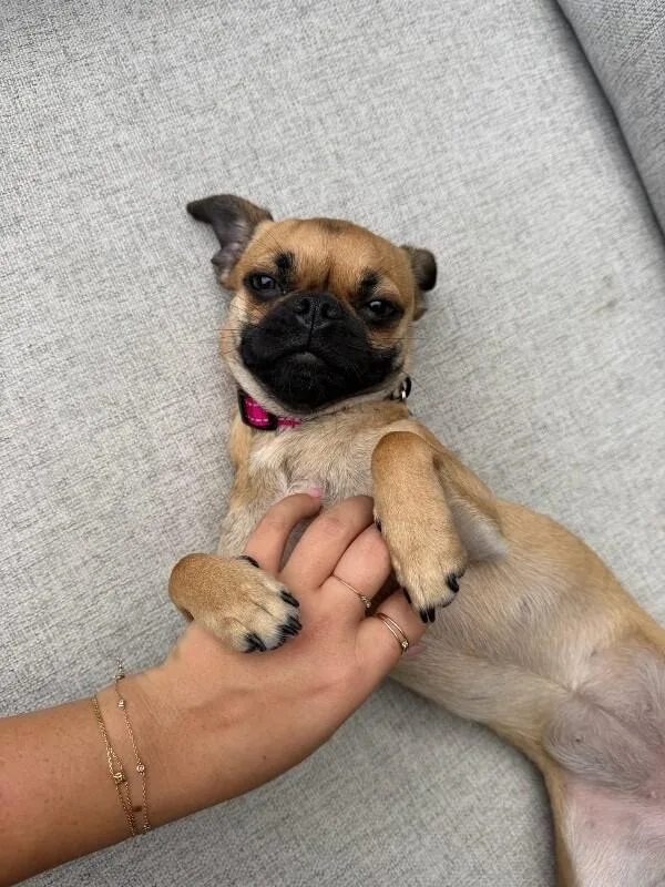 Winnie thumbnail 3