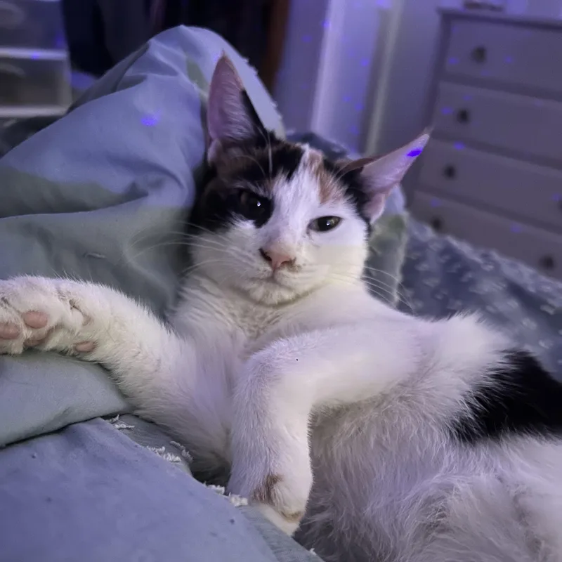 Gabrielle thumbnail 2