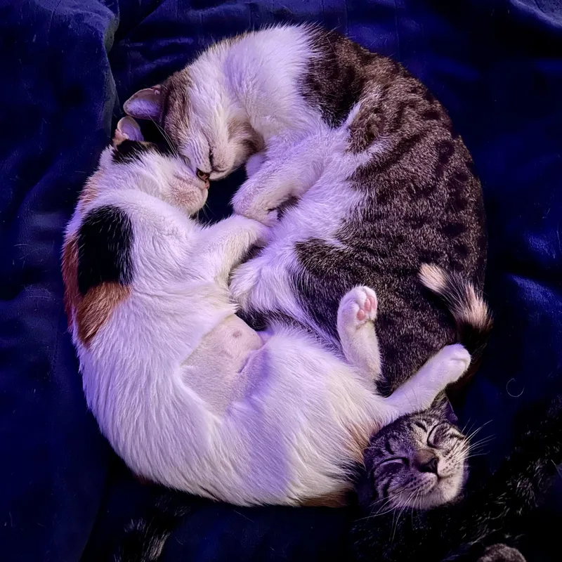 Gabrielle thumbnail 3