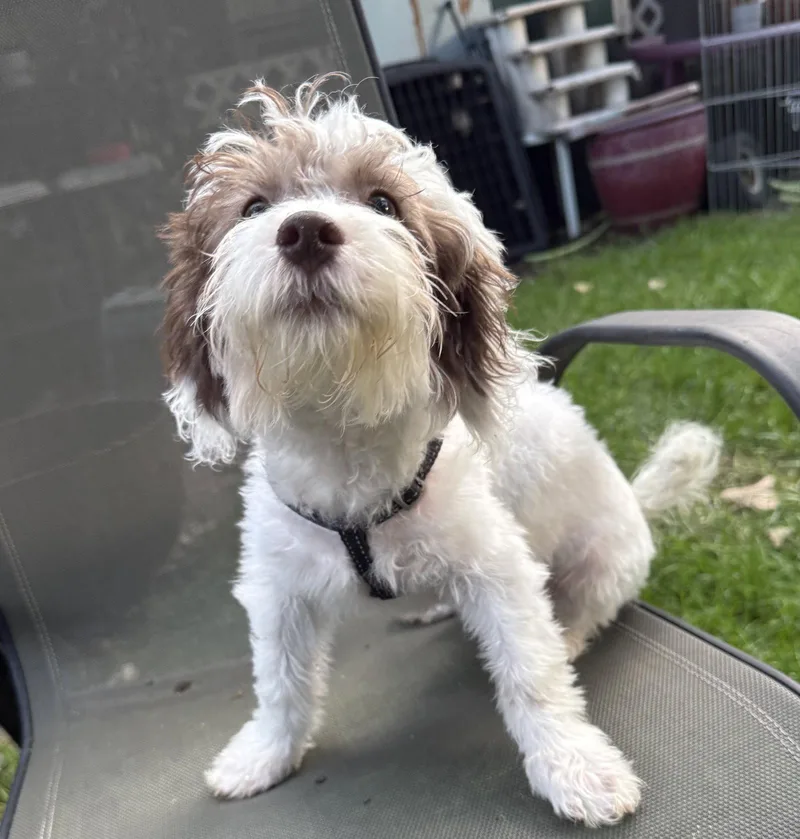 Murphy thumbnail 2