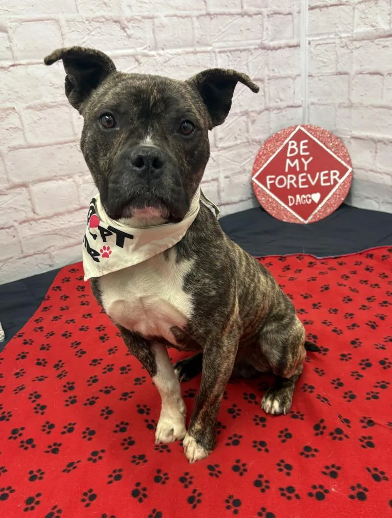 Pollen Drift thumbnail 2