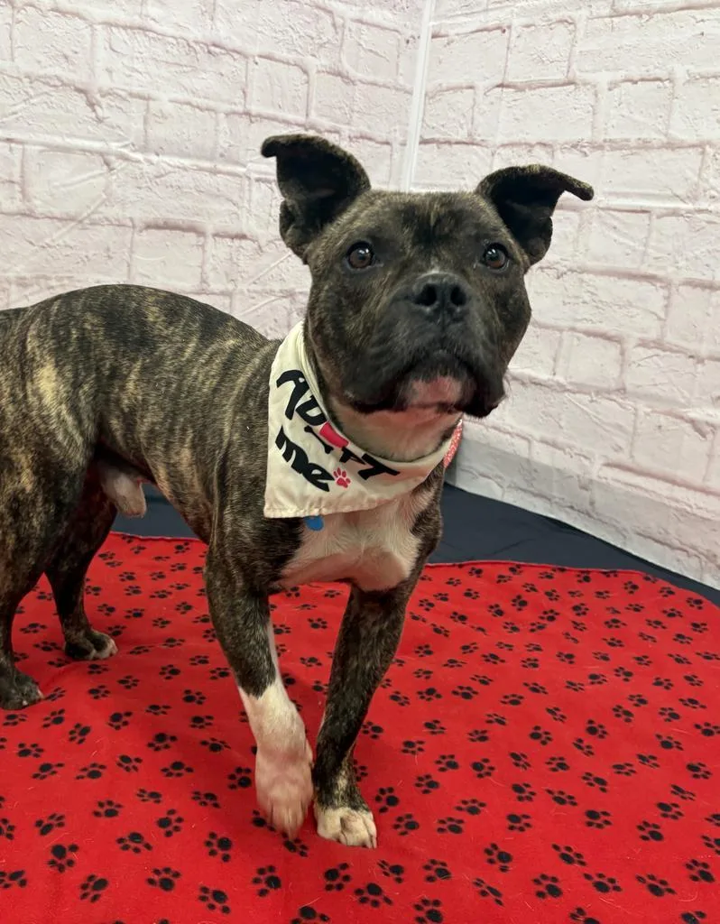 Pollen Drift thumbnail 3