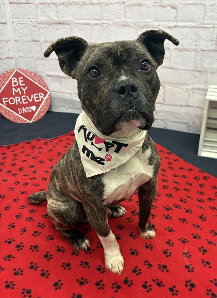 Pollen Drift thumbnail 4