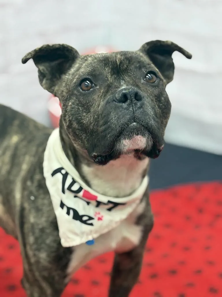 Pollen Drift thumbnail 6