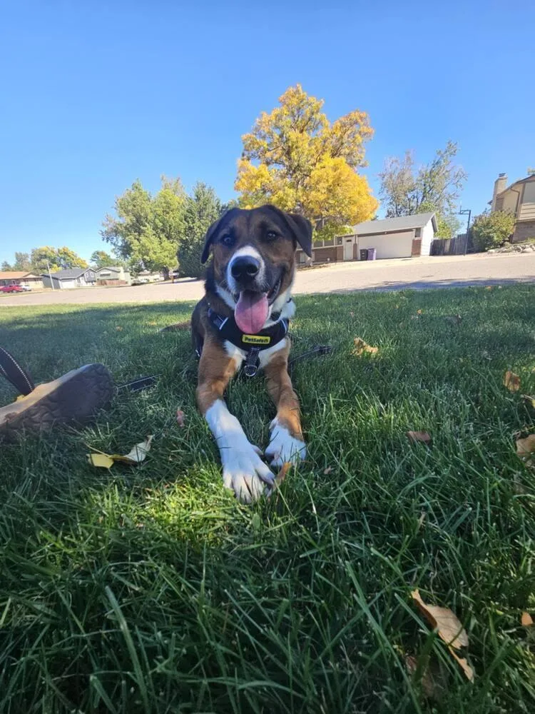 Cooper thumbnail 6
