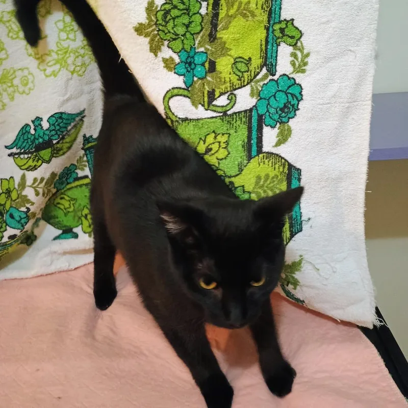 Beat Busker thumbnail 2