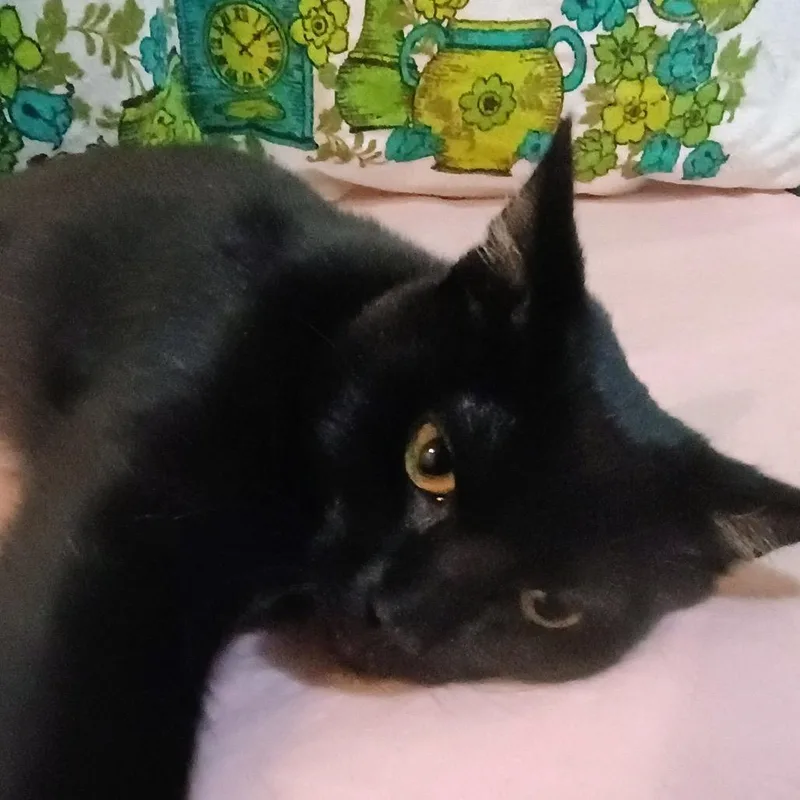 Beat Busker thumbnail 3