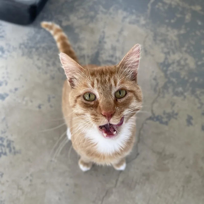 Sundance thumbnail 2