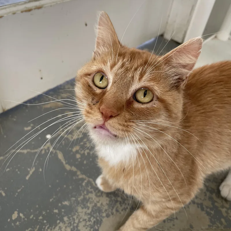 Sundance thumbnail 4