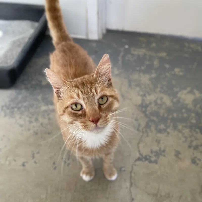 Sundance thumbnail 5