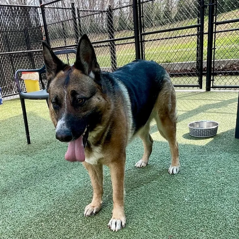 Cinderella thumbnail 4