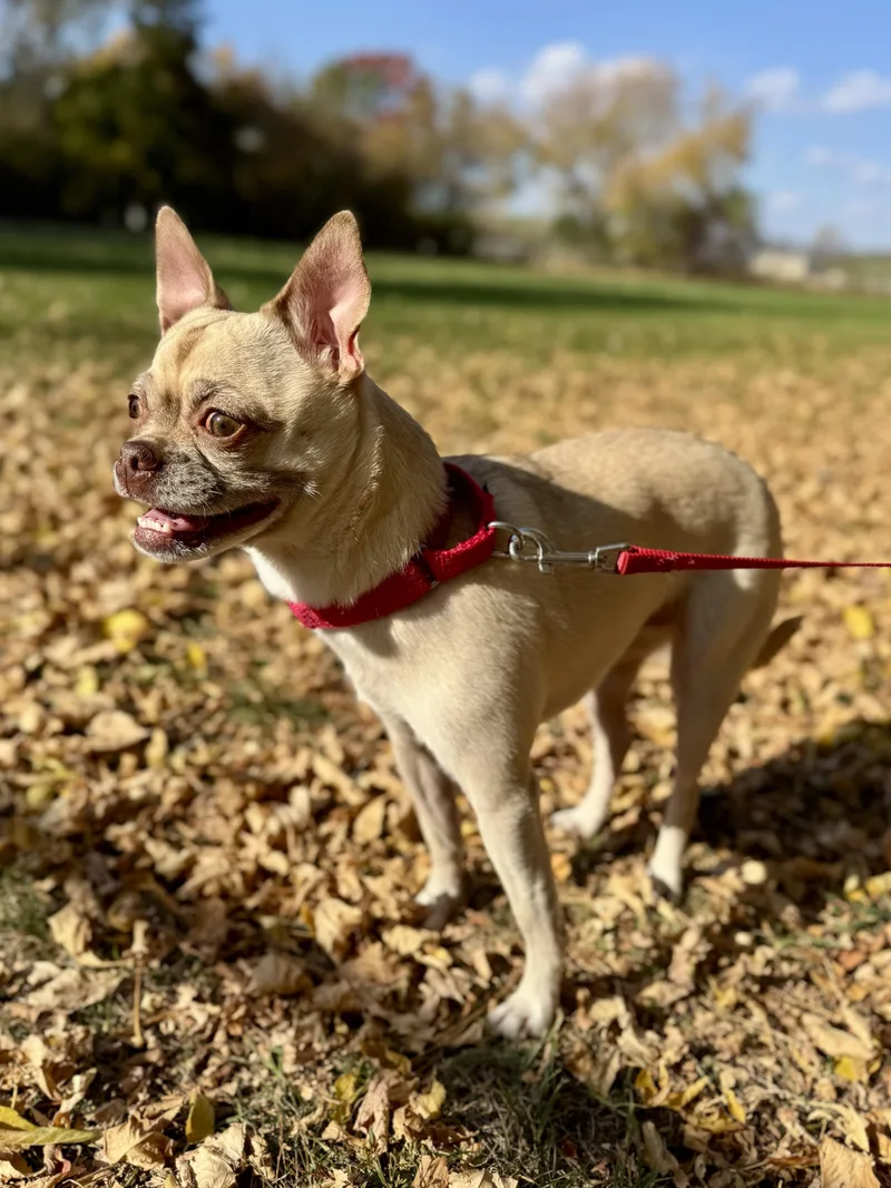 Charlee thumbnail 2