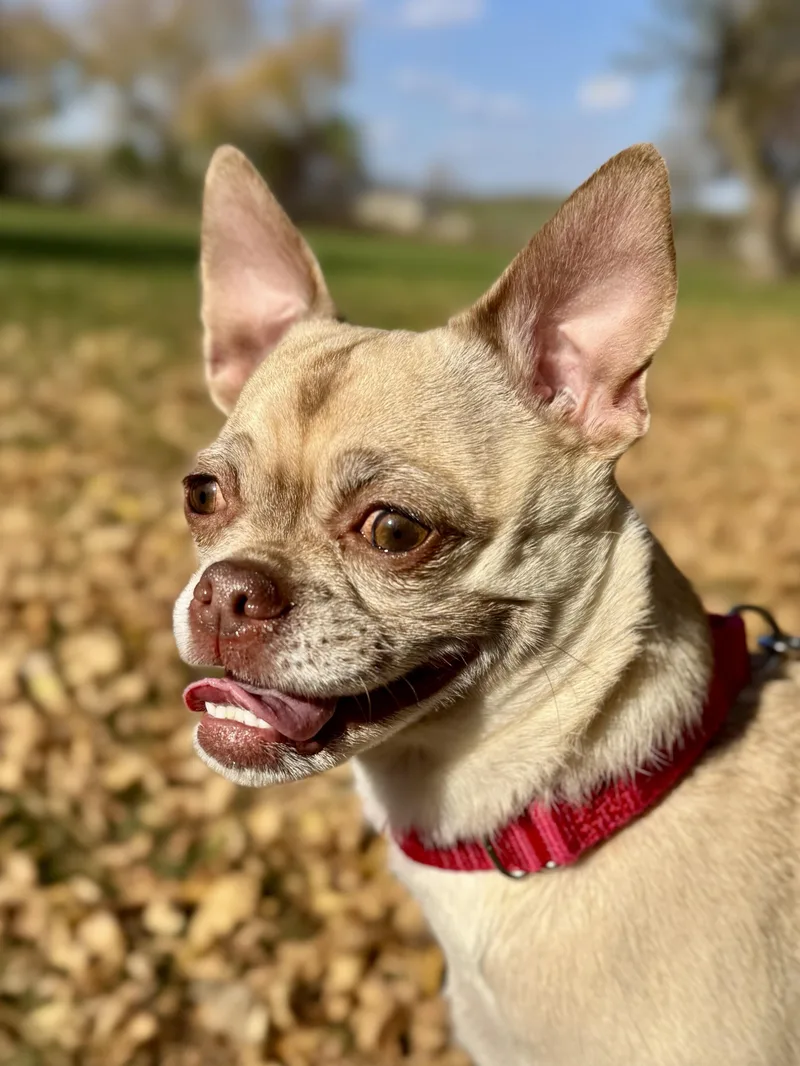 Charlee thumbnail 3