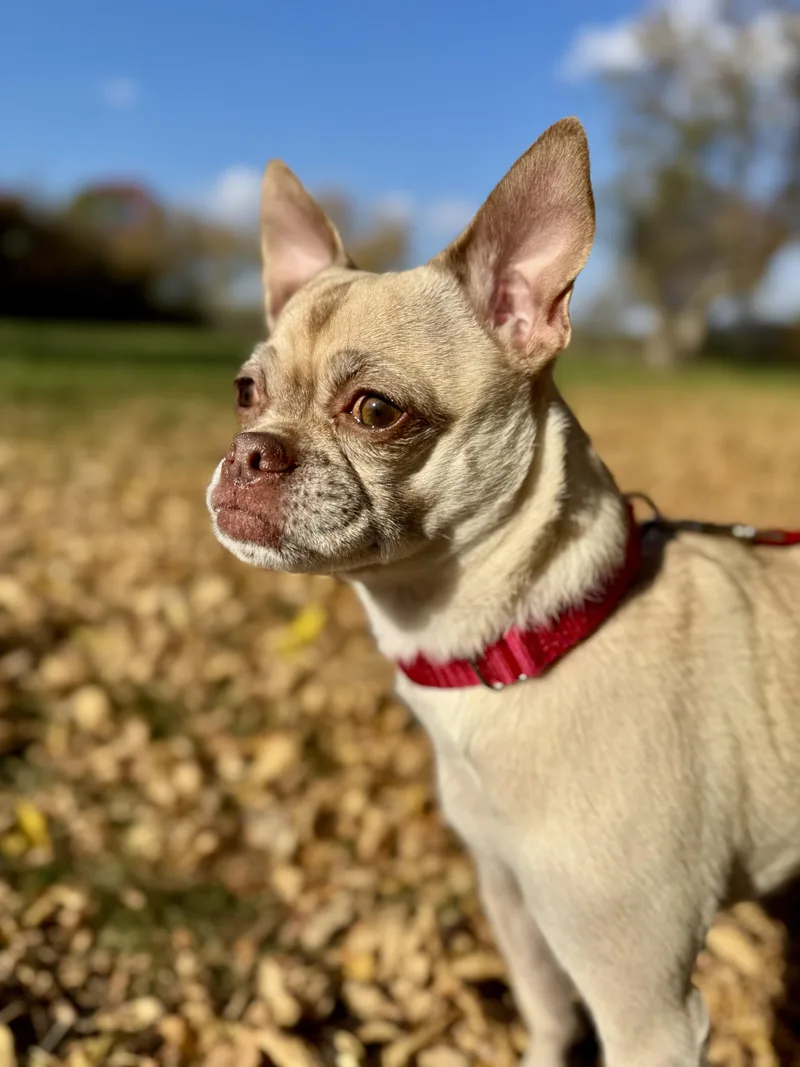 Charlee thumbnail 5