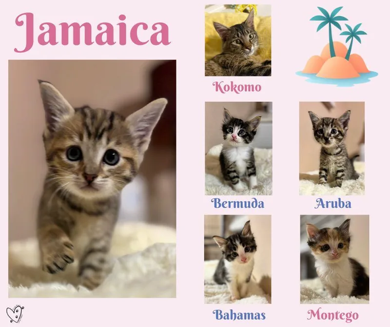 Jamaica