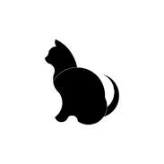 A baby small-sized female Black Domestic Short Hair cat named Wendy for adoption in Columbus, NC
