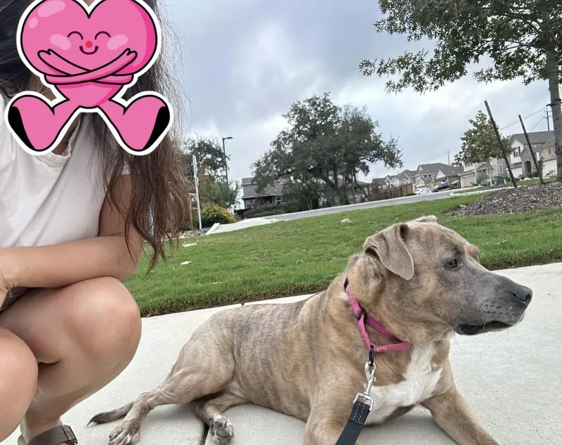 Kahlua thumbnail 2