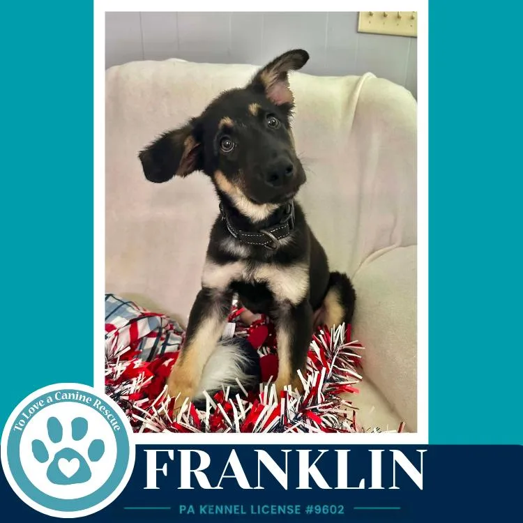 Franklin