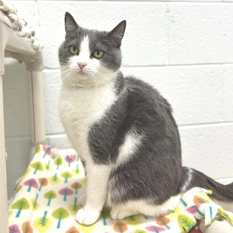 C&s: Celia thumbnail 2