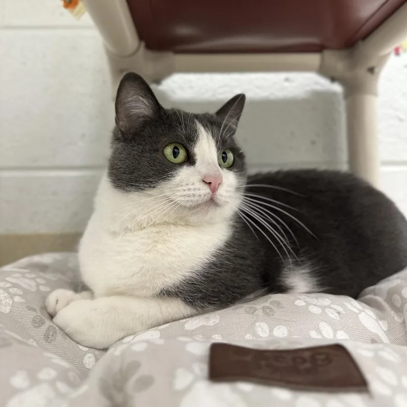 C&s: Celia thumbnail 3