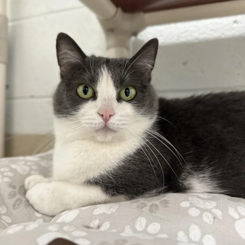 C&s: Celia thumbnail 4