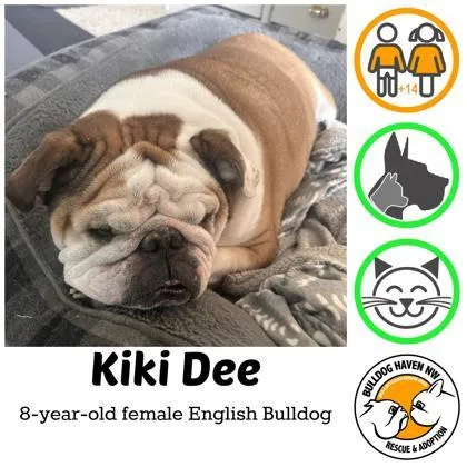 Kiki Dee