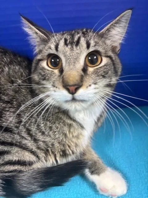 Pacific Ocean thumbnail 2