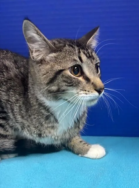 Pacific Ocean thumbnail 3